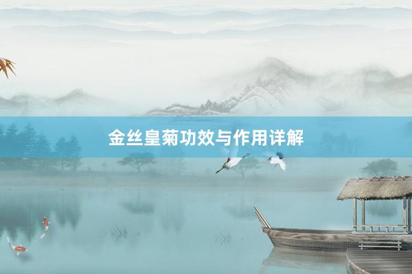 金丝皇菊功效与作用详解